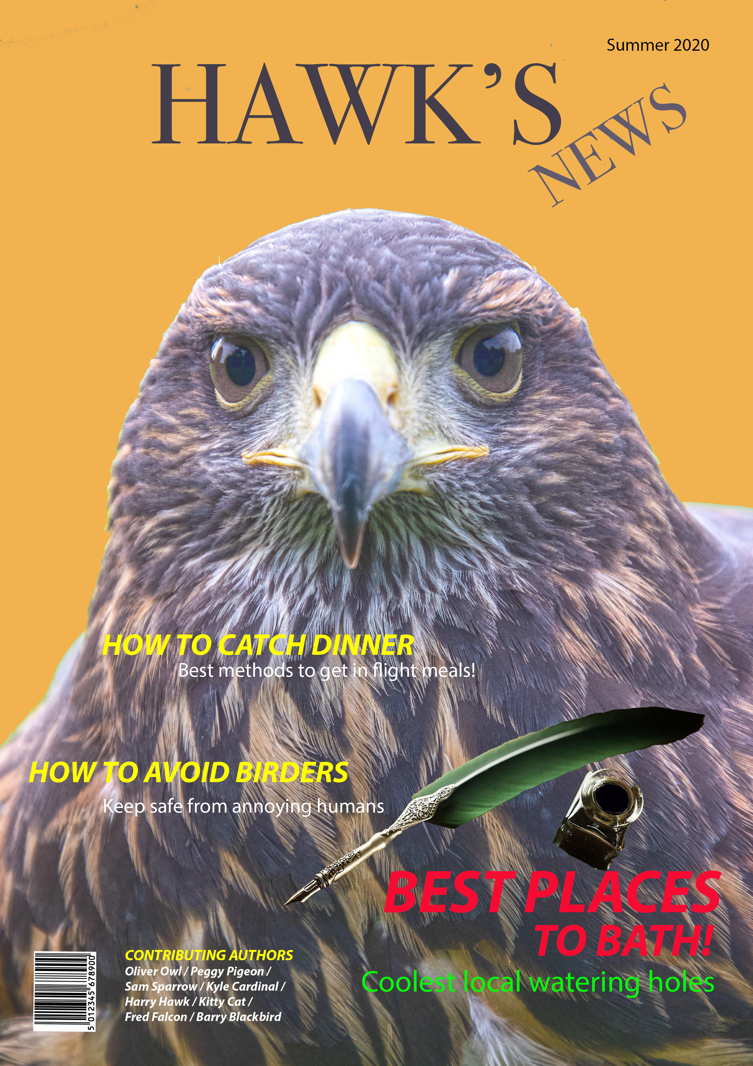 Magazine Cover Example